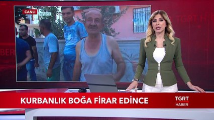 Kurbanlık Boğa Firar Edince...