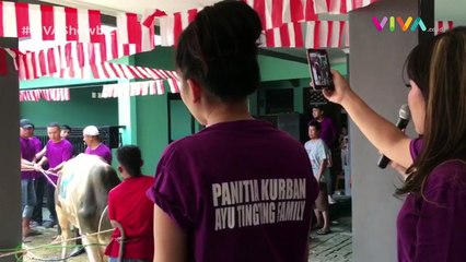 Ayu Ting Ting "Ajak Ngobrol" Sapinya Sebelum Dipotong