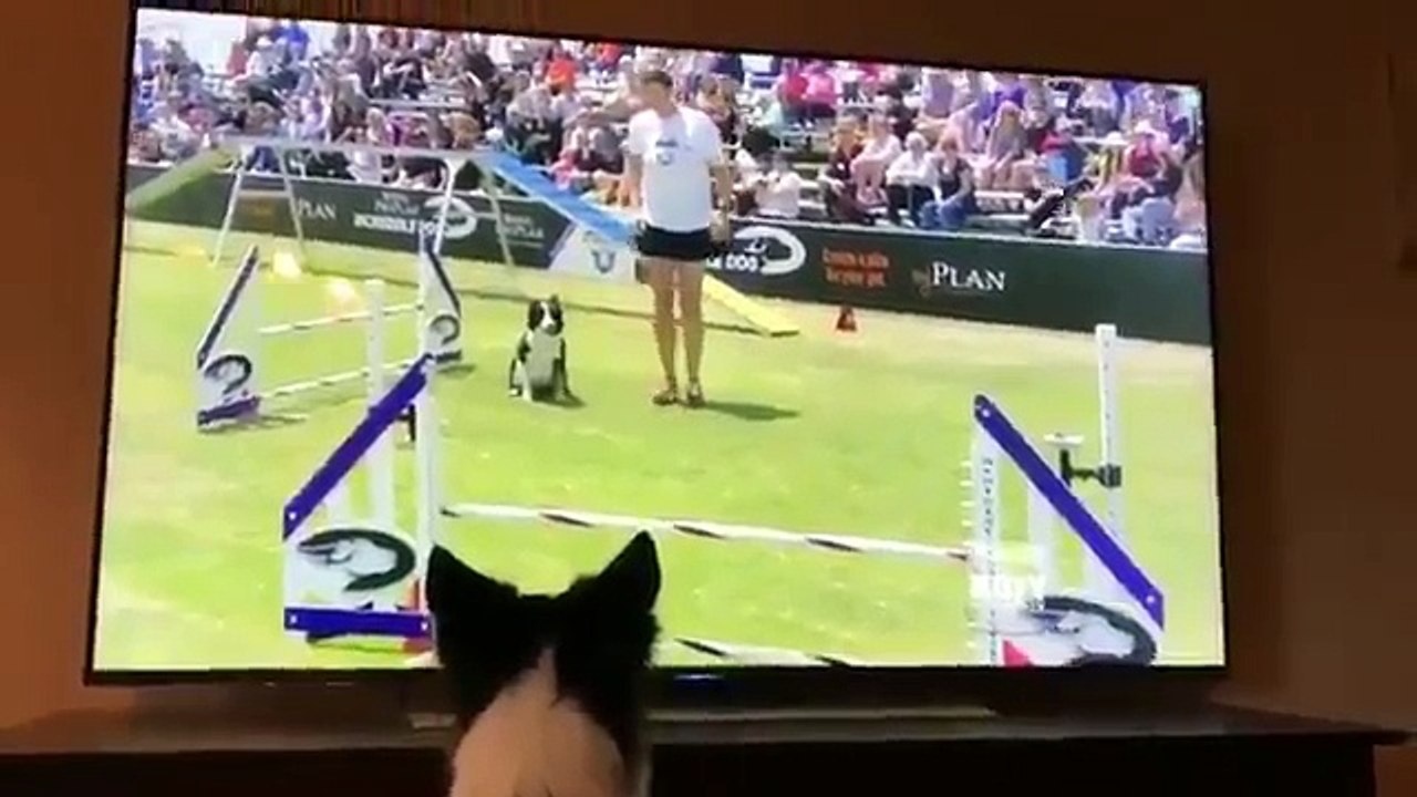 Kazandığı yarışmanın görüntülerini izlerken yerinde duramadı