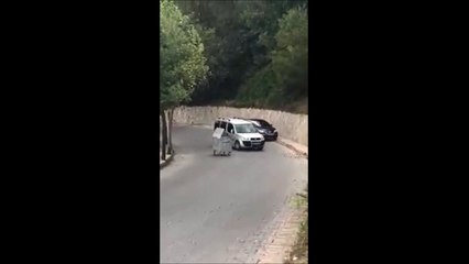 Quand une poubelle folle s'en prend à des voitures