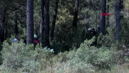 İstanbul- Pendik'te Orman Yangını Hd