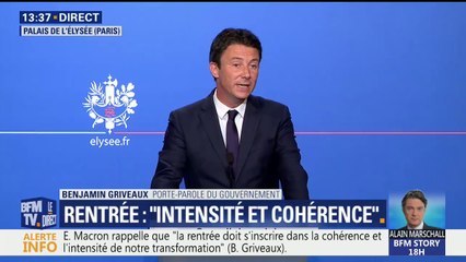 Griveaux: "Nous ne devons pas dévier de stratégie mais poursuivre son déploiement"