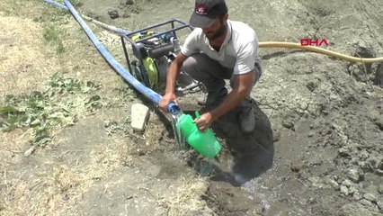 Muş Bahçesini Güneş Panelinden Elde Ettiği Enerji ile Suluyor Hd