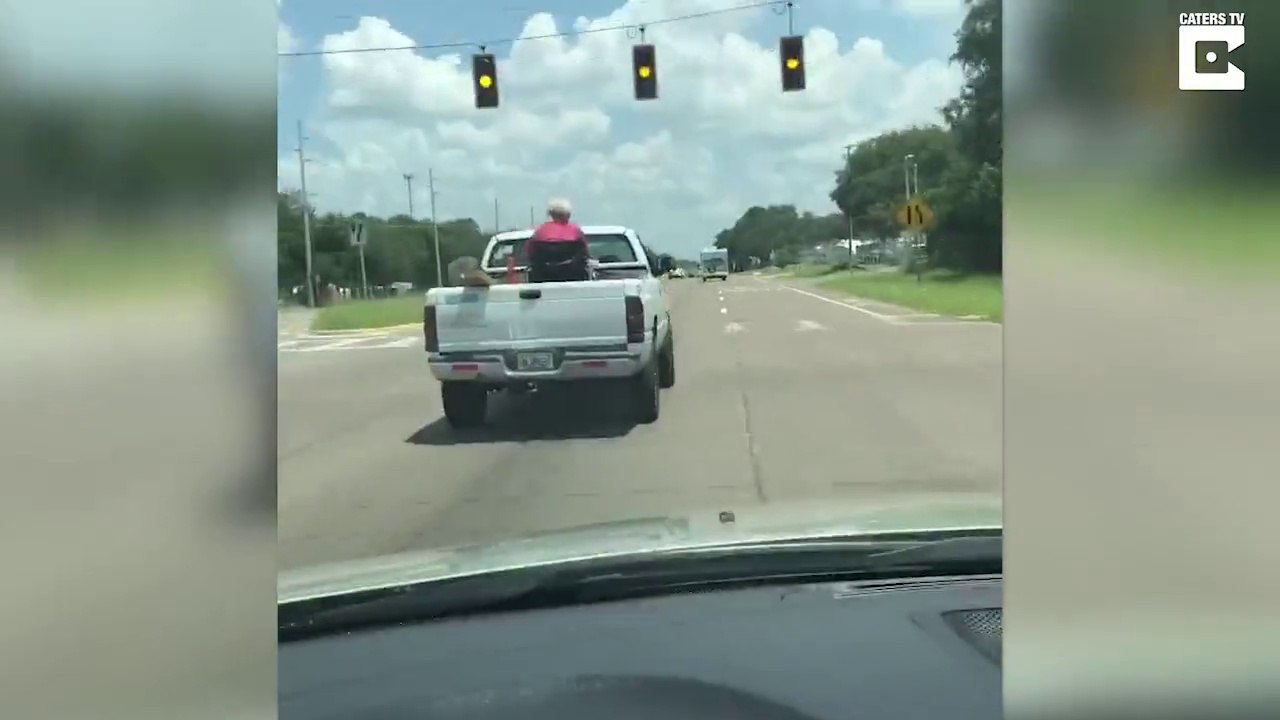 Mamie en chaise roulante à l'arrière d'un pick up !