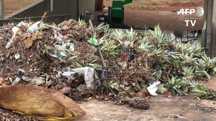 Au Benin, les ordures sont devenues de l'or