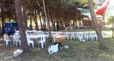 Son Dakika! Samsun'da, Balık Festivalinde Silahlı Çatışma: 3 Ölü