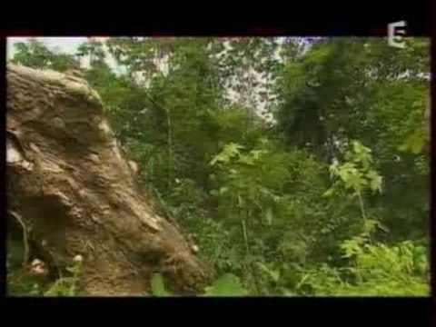 LE JARDIN DES FOURMIS-2