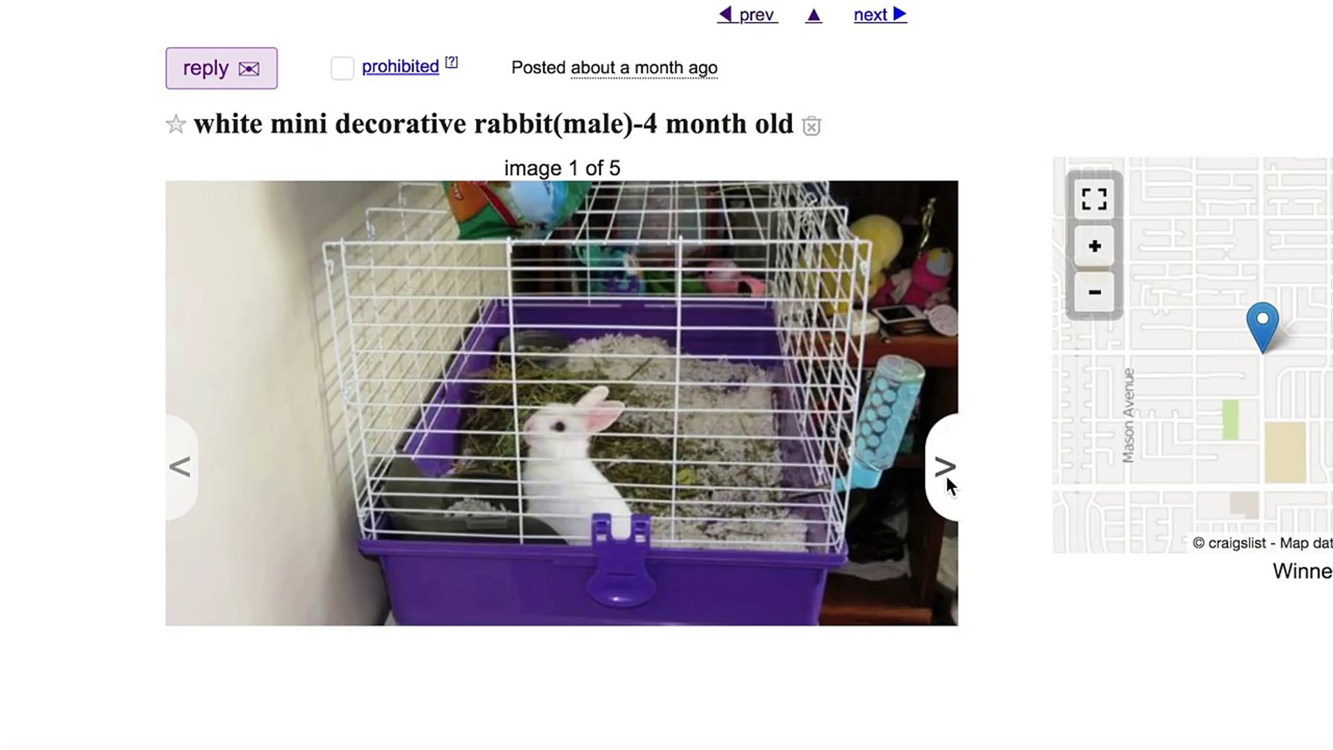 lennon the bunny stroller