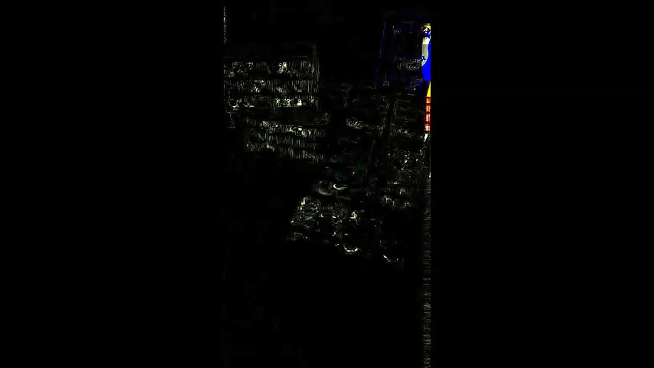 PRF apreende aves silvestres na BR 101