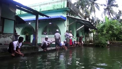 Arakan'da buruk Kurban Bayramı - MYANMAR