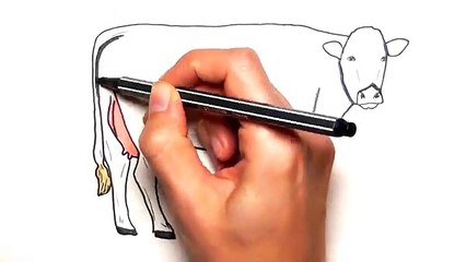 Farm Animals Coloring Page for Kids Drawing And Coloring Cow Learning Animals