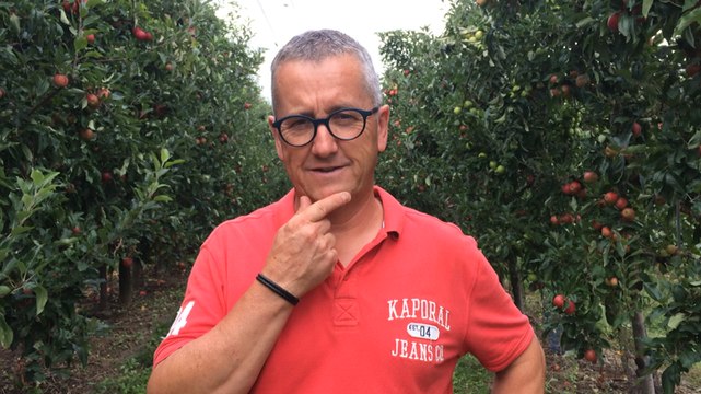 Coup d’envoi pour la cueillette des pommes