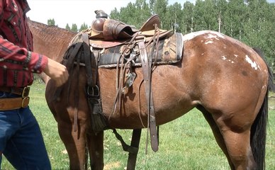 How to Saddle a Horse