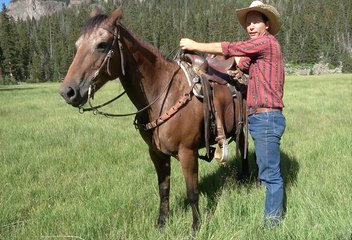 How to Mount and Dismount a Horse