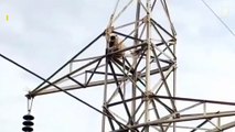 Watch a monkey make a spectacular tower jump