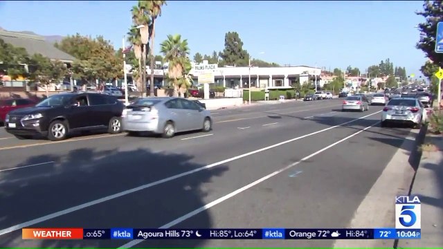 Video Shows Shoplifting Suspect Ram into Patrol Cars During Chase