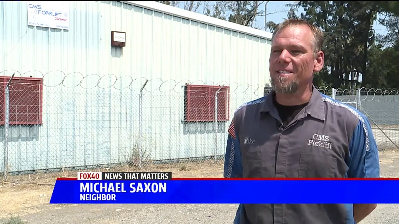 Mystery Surrounds Dead Dogs Left on Side of the Road in Northern California