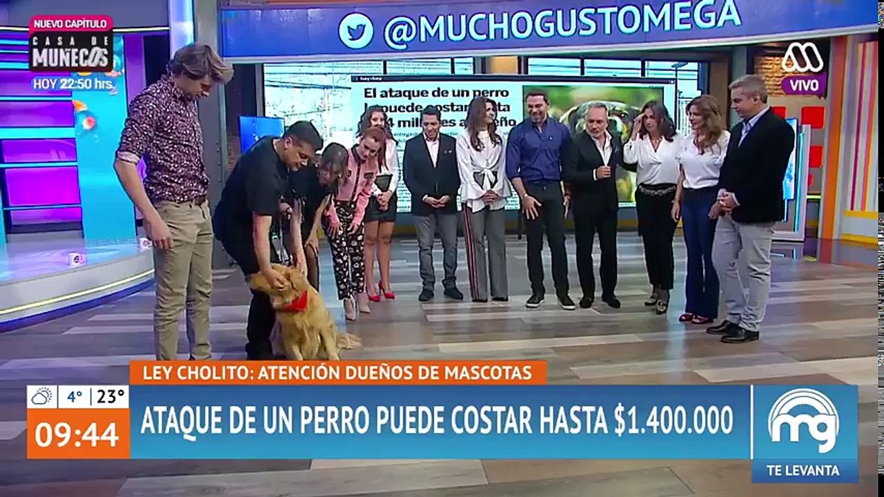 ¡Lo que implica la 'Ley Cholito'! - Mucho gusto 2018