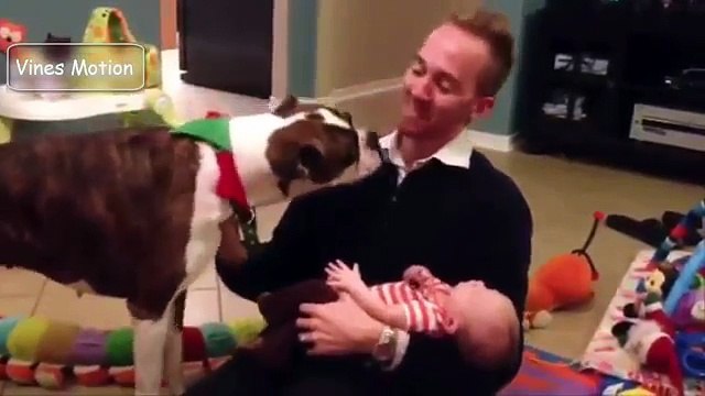 Dogs Meeting Babies for the First Time Compilation new