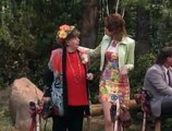 Roseanne - S08 E23 The Wedding