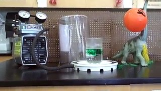 Water Boiling in a Vacuum Chamber