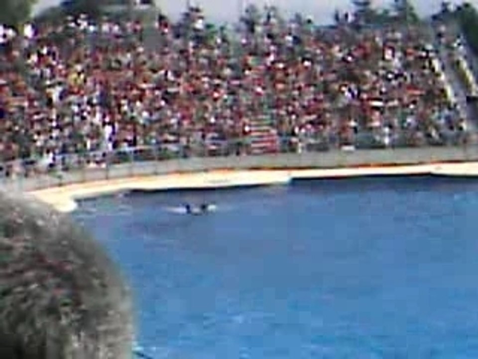 Vancances ete 2007 117