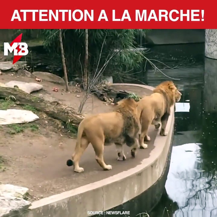 Même un Roi peut faire un faux pas  via Newsflare