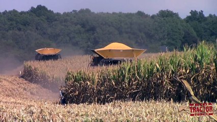2018 Corn Harvest Underway