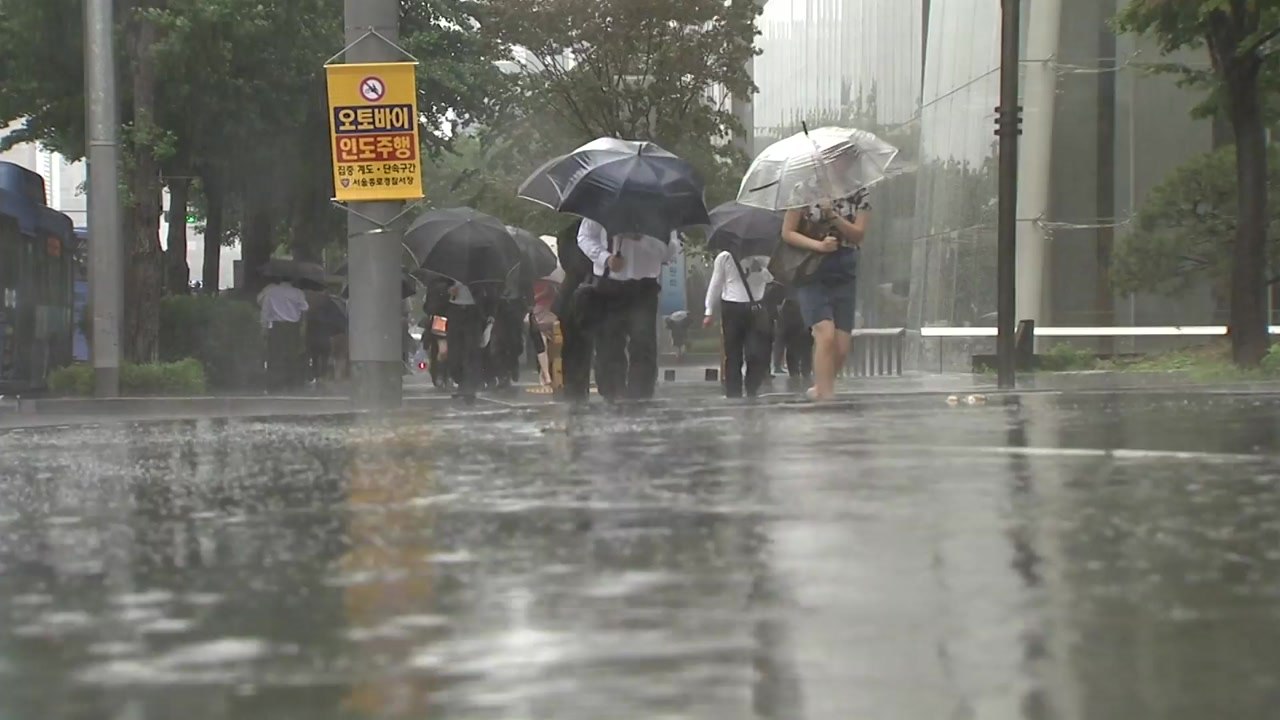 [태풍진로] 전국 태풍 영향권...오전 제주도 최대 고비 / YTN