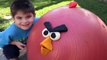 Giant Play Doh ANGRY BIRD Egg Surprises by HobbyKidsTV