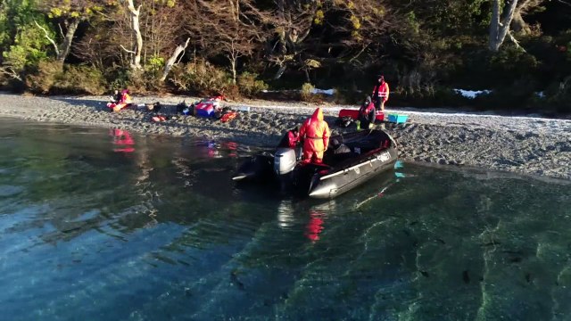 Bosques submarinos de la Patagonia resisten al cambio climático