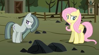 Marble Pie Meets Fluttershy [Animation]