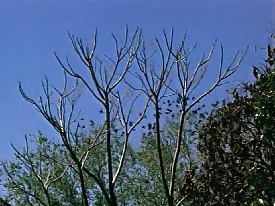 L Homme de nulle part S1E3 FRENCH   Part 02