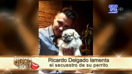 Ricardo Delgado lamenta secuestro de su pequeña mascota