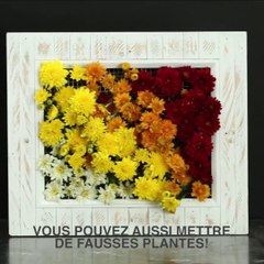 FACILE À FAIRE - Jardin succulente vertical