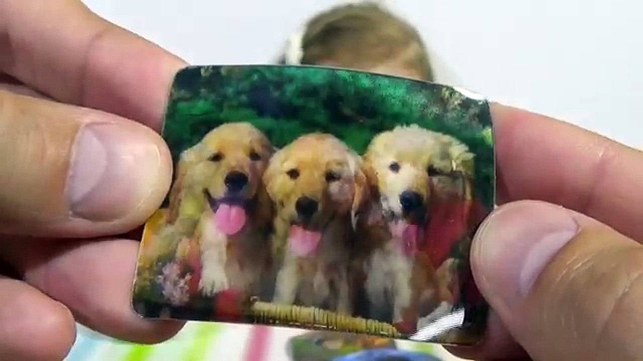 Заводные животные в яйцах/ сюрприз игрушки/ распаковка