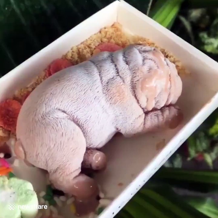 Realistic ice cream dog