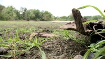 Firefighters Use Plywood, Rope to Rescue Children from Ohio Mudflats