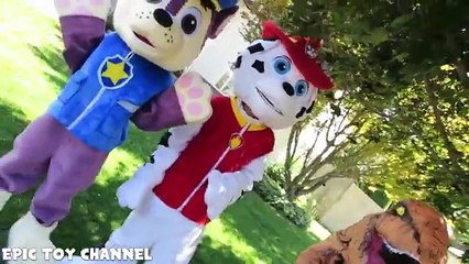 PAW PATROL IN REAL LIFE with Marshall Chase & Dinosaur IRL Test Paw Patrol Scooter Epic To