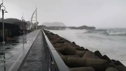 태풍 '솔릭' 제주 강타..."오전이 최대 고비" / YTN