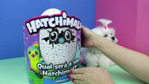 Hatchimal Chegou no Brasil Review em Português Lançamento new