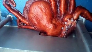 Octopus Houdini