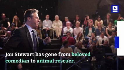 Jon Stewart Rescues Goats From NYC Subway Tracks