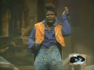 Family Matters - S6 E06 Dark and Stormy Night