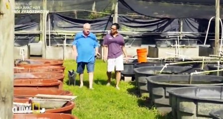Fish Tank Kings S03 - Ep03 The Fish Whisperer HD Watch