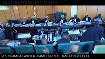 Chamisa Lawyers Up For The Challenge - Constitutional Court Of Zimbabwe