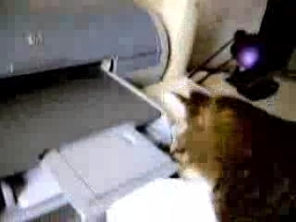 PrintKat