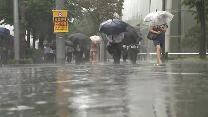 [날씨] 62m/s 강풍 기록한 '솔릭'...제주 통과해 내륙으로 / YTN