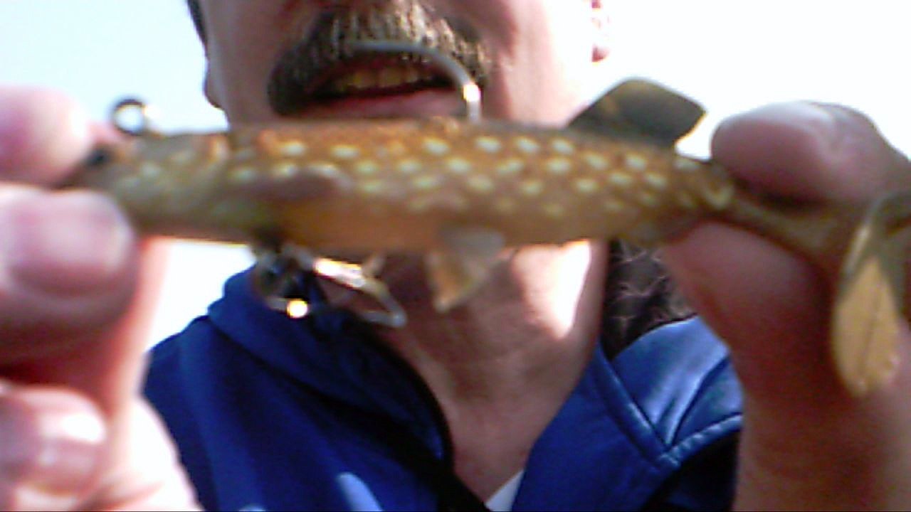 fishing 6 tips. this is the only hook you need to catch fish in gull lake alberta canada.