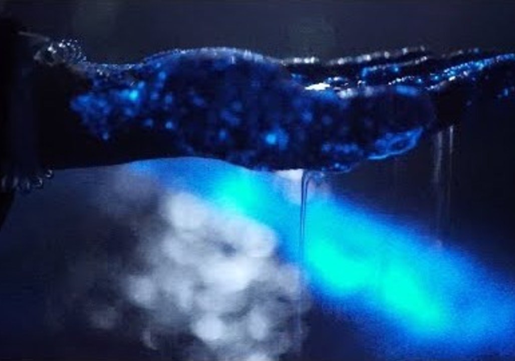 Beautiful Bioluminescence in Jervis Bay, Australia